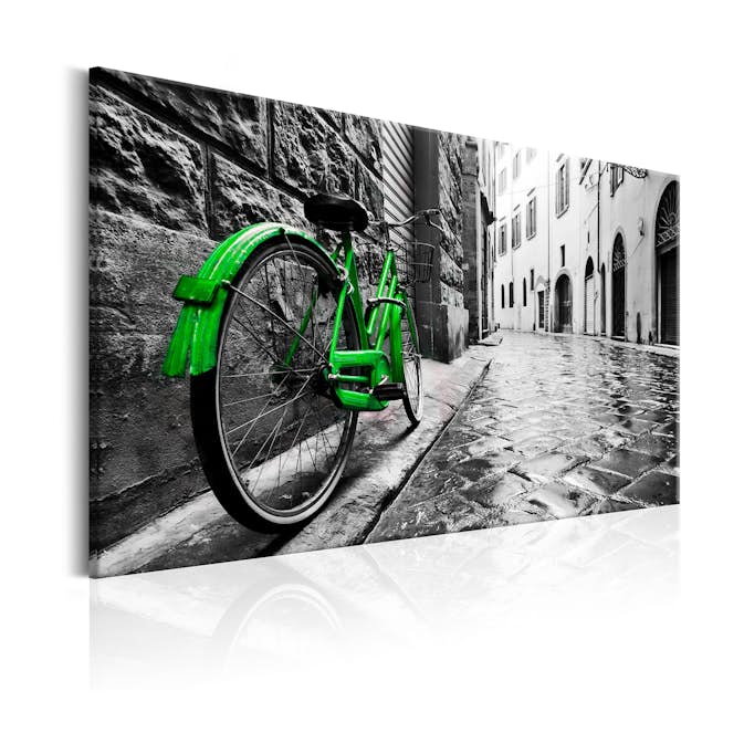 Tavla Arkiio Vintage Green Bike