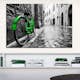 Tavla Arkiio Vintage Green Bike