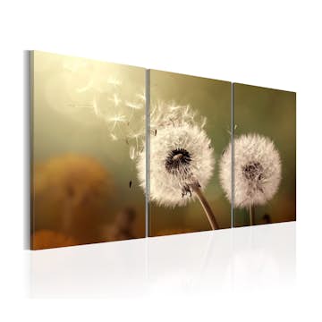 Tavla Arkiio Whisper Of Summer