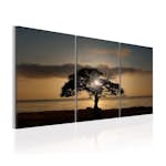 Tavla Arkiio Extraordinary Nature 120x60