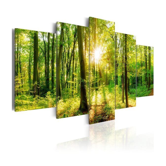 Tavla Arkiio Forest Tale