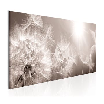 Tavla Arkiio Summer Dandelions