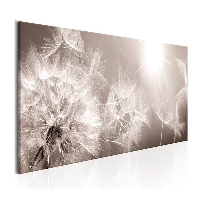 Tavla Arkiio Summer Dandelions