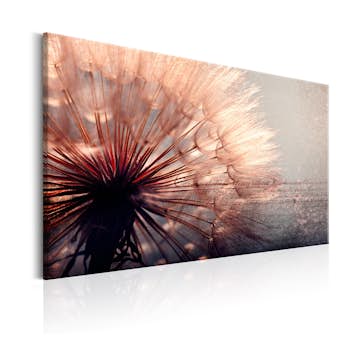 Tavla Arkiio Pink Gentleness