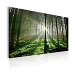 Tavla Arkiio Emerald Forest II