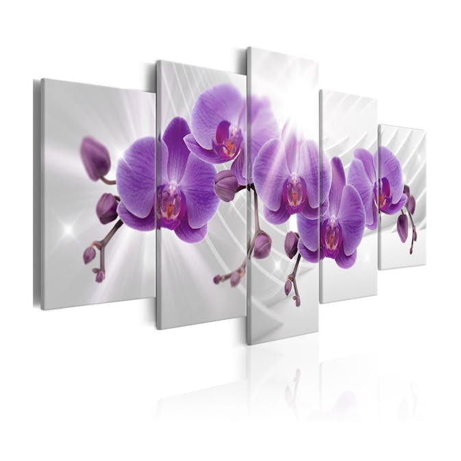Tavla Arkiio Abstract Garden Purple Orchis