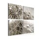 Tavla Arkiio Grey Dandelion