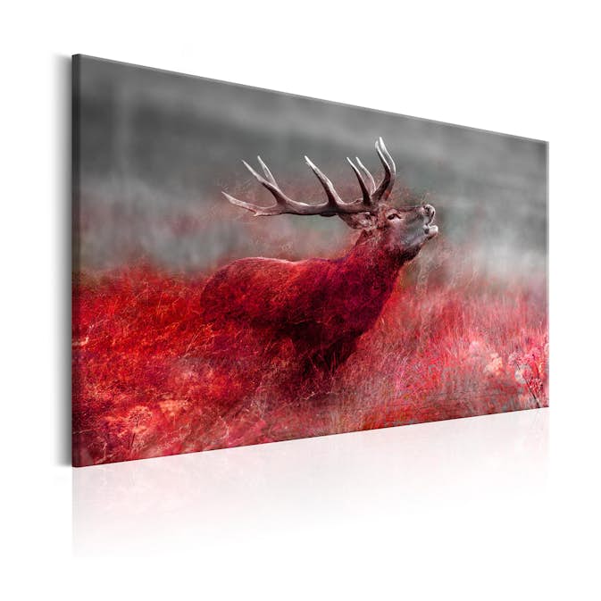 Tavla Arkiio Bloody Field