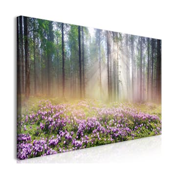 Tavla Arkiio Purple Meadow