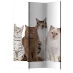 Rumsavdelare Arkiio Sweet Cats 135x172 cm