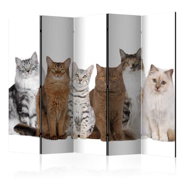 Rumsavdelare Arkiio Sweet Cats II 225x172 cm