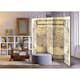 Rumsavdelare Arkiio Nova Universi Orbis Descriptio 225x172 cm