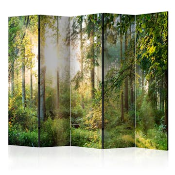 Rumsavdelare Arkiio Untamed Nature II 225x172 cm