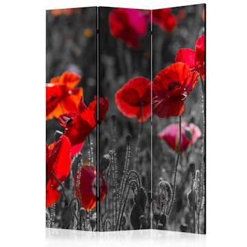 Rumsavdelare Arkiio Red Poppies 135x172 cm