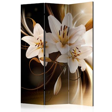 Rumsavdelare Arkiio Circle Of Light 135x172 cm