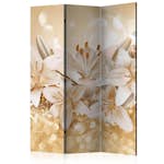 Rumsavdelare Arkiio Royal Entourage 135x172 cm