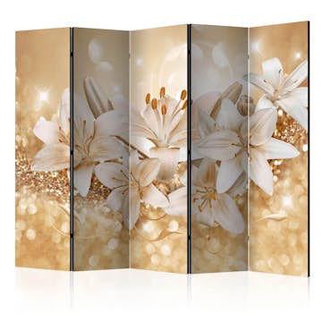 Rumsavdelare Arkiio Royal Entourage II 225x172 cm