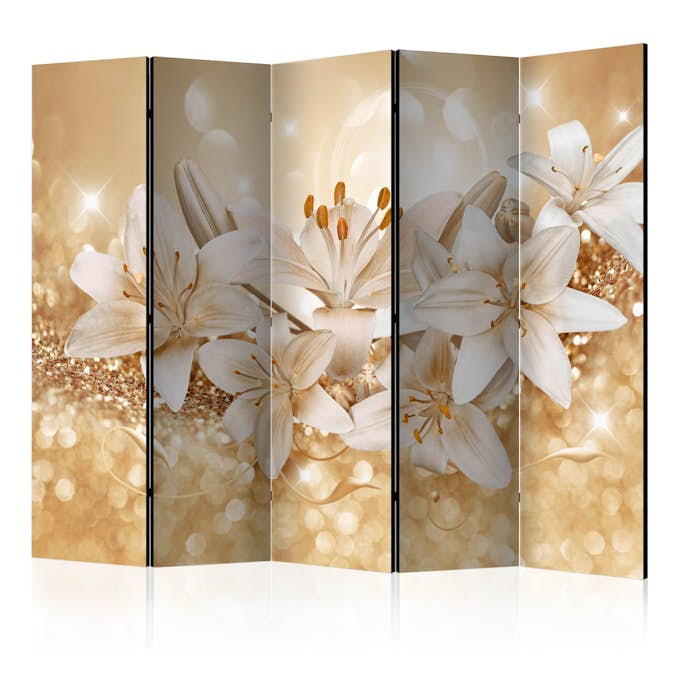 Rumsavdelare Arkiio Royal Entourage II 225x172 cm