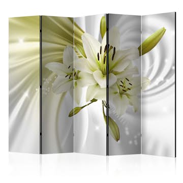 Rumsavdelare Arkiio Green Captivation II 225x172 cm