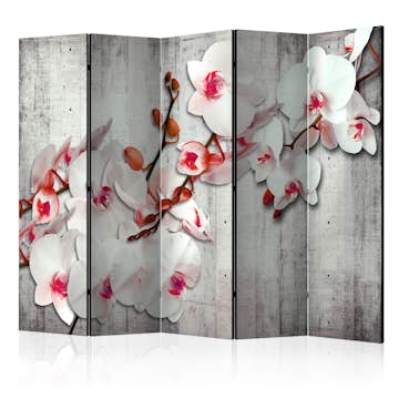 Rumsavdelare Arkiio Concrete Orchid II 225x172 cm