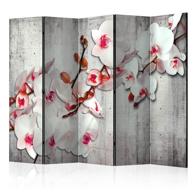Rumsavdelare Arkiio Concrete Orchid II 225x172 cm