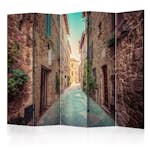 Rumsavdelare Arkiio Magic Tuscany II 225x172 cm