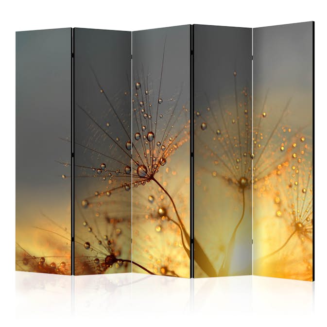 Rumsavdelare Arkiio Summer Solstice II 225x172 cm
