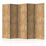 Rumsavdelare Arkiio Amazonian Wall II 225x172 cm