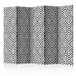 Rumsavdelare Arkiio Black and White Hypnosis II 225x172 cm