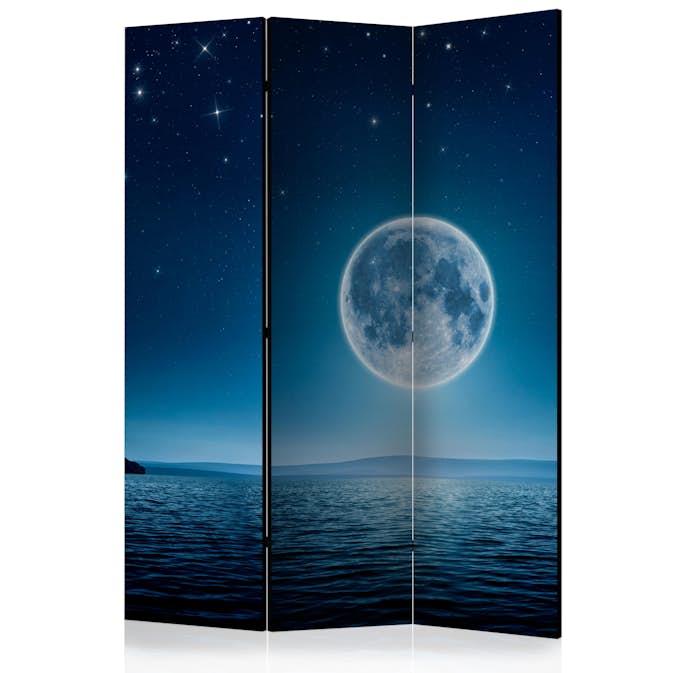 Rumsavdelare Arkiio Moonlit Night 135x172 cm