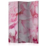 Rumsavdelare Arkiio Azalea Pink 135x172 cm