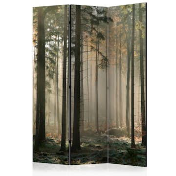 Rumsavdelare Arkiio Foggy November Morning 135x172 cm