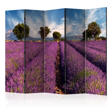 Rumsavdelare Arkiio Lavender Field in Provence France II 225x172 cm