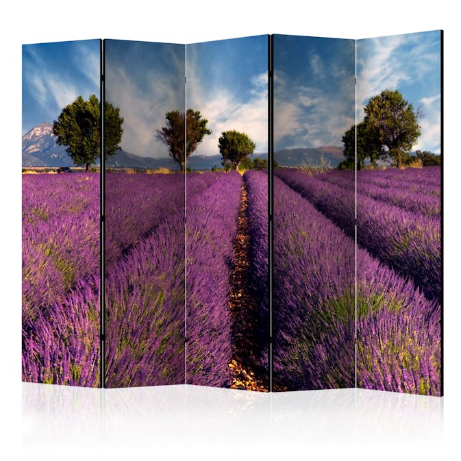 Rumsavdelare Arkiio Lavender Field in Provence France II 225x172 cm