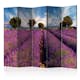 Rumsavdelare Arkiio Lavender Field in Provence France II 225x172 cm