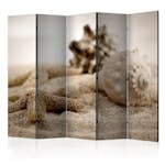 Rumsavdelare Arkiio Beach and Shell II 225x172 cm