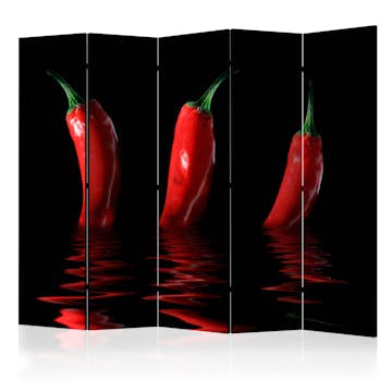 Rumsavdelare Arkiio Chili Pepper II 225x172 cm