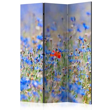 Rumsavdelare Arkiio A Sky-Colored Meadow Cornflowers 135x172 cm