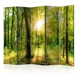 Rumsavdelare Arkiio Forest Rays II 225x172 cm