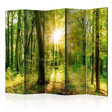 Rumsavdelare Arkiio Forest Rays II 225x172 cm