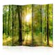 Rumsavdelare Arkiio Forest Rays II 225x172 cm