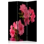 Rumsavdelare Arkiio Azalea In Black 135x172 cm