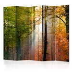 Rumsavdelare Arkiio Forest Colours II 225x172 cm