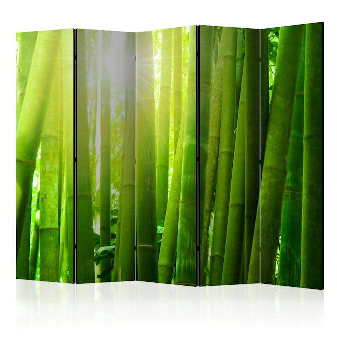 Rumsavdelare Arkiio Sun and Bamboo II Grön 225x172 cm