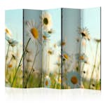Rumsavdelare Arkiio Daisies Spring Meadow II Prästkragar 225x172 cm