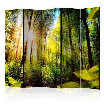 Rumsavdelare Arkiio Forest Hideout II 225x172 cm