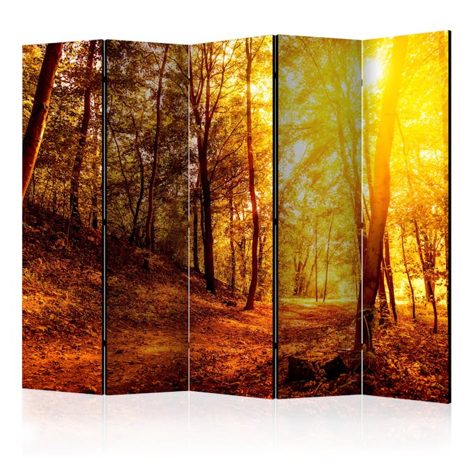 Rumsavdelare Arkiio Autumn Walk II 225x172 cm