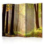 Rumsavdelare Arkiio Mysterious Forest Path II 225x172 cm