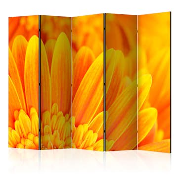 Rumsavdelare Arkiio Yellow Gerbera Daisies II 225x172 cm