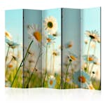 Rumsavdelare Arkiio Daisies Spring Meadow II 225x172 cm